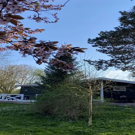 Dana - 150m To The Inlet By Interhome Hébergement de vacances